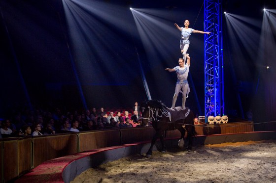 stephan-gruss-farfadias-pose-equestre-quintessence2016quintessence2016