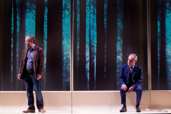 VOTREMAMANphotoforet(Librededroits(c)Ch.Vootz)