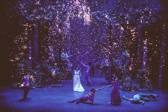 DSC05360copyrightsPixelle