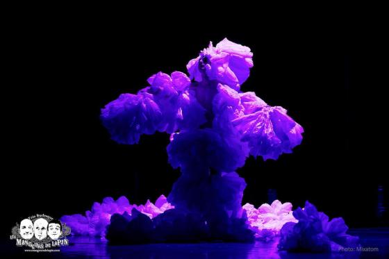 dsc_1634_35308601155_o-copie