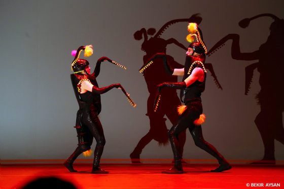 27500192_806345979572005_3991108851744393795_o